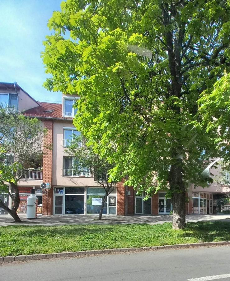 Rozsa Apartman Keszthely Exteriér fotografie